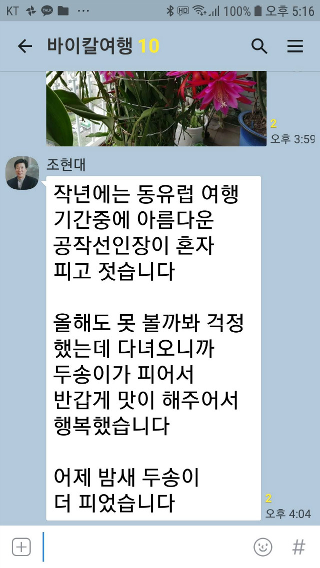 Screenshot_20190428-171608_KakaoTalk.jpg